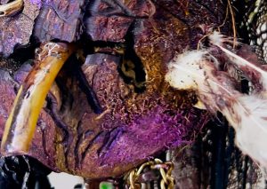 „CREATIVE FUSION“ – Kunst in Transformation