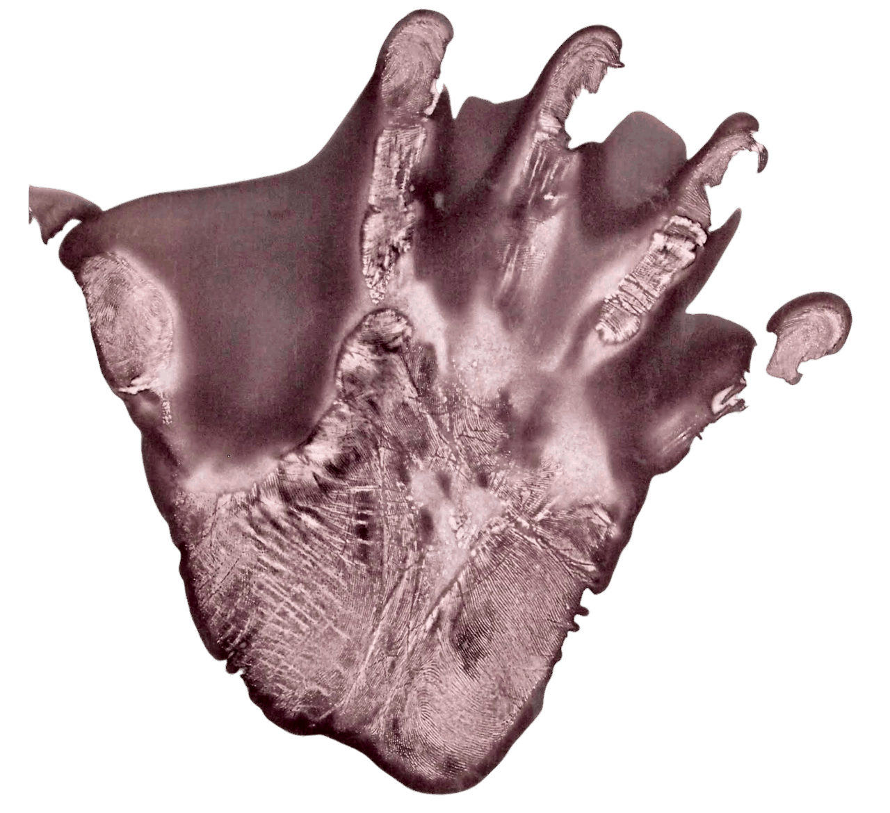 P7093927-Photoroom kompr