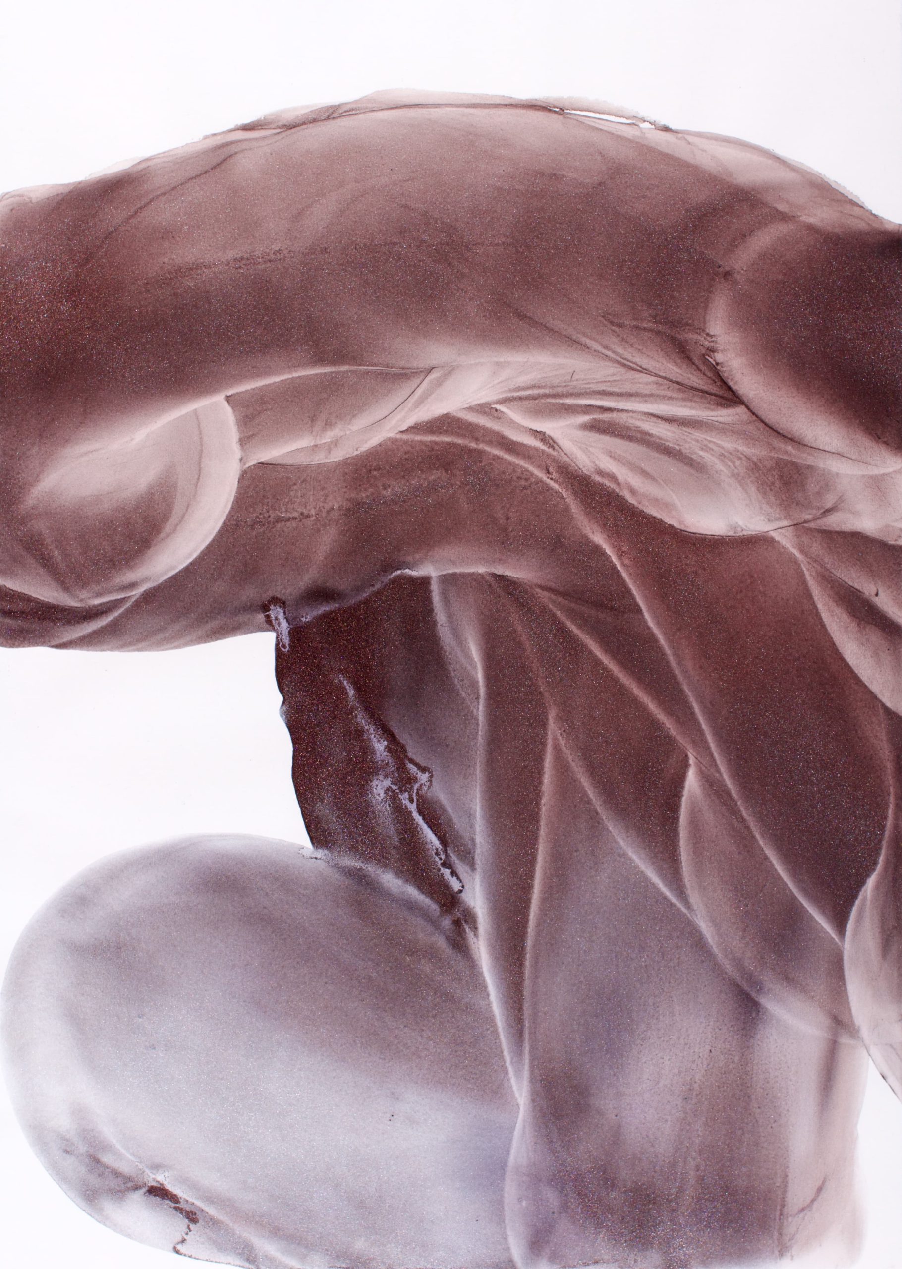 ROBERT LANZ RL:D-18-1085 e